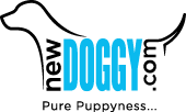 newdoggy-weborigo